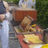 IMG_20250604_113339