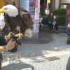 IMG_20250604_113819