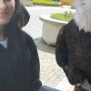 IMG_20250604_113923
